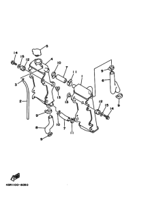 WR250Z Радиатор и шланг
