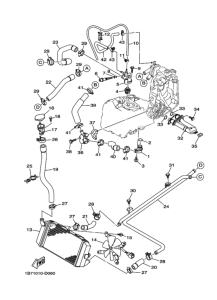 CP250 Радиатор и шланг