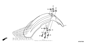  Переднее крыло