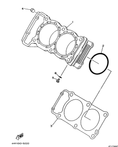 TRX850 Цилиндры