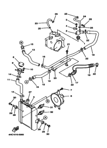 YP250 ﾗｼﾞｴﾀ. ﾎｰｽ