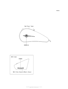 VN900 Decals (Bcf / bdf)