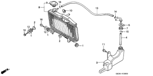 NSR50S Радиатор