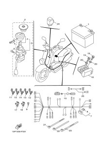 XF50 Электрика 2