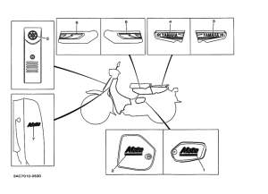 V50 ｸﾞﾗﾌｲﾂｸ. ｴﾝﾌﾞﾚﾑ 6