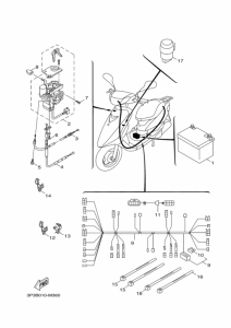 CE50ZR ｴﾚｸﾄﾘｶﾙ 2
