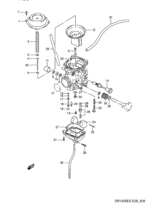 DR125 Carburetor assy