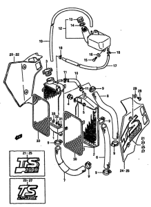 TS250 Радиатор
