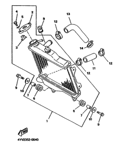 TZR50 Radiator. hose