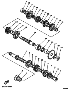TZ250U Трансмиссия