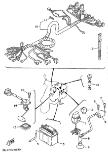 CW50 Электрика