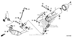 CTX700N DCT Глушитель