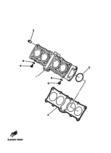 FZX250 Цилиндр