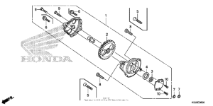 CRF80F Масляный насос
