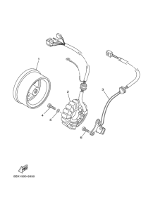 TW125 Генератор