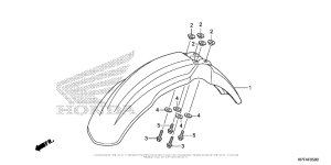  Переднее крыло