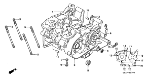 NSR50F Картер двигателя
