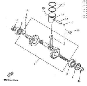 CW50 Ciguenal. pisttn