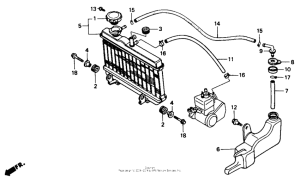NS50 Радиатор