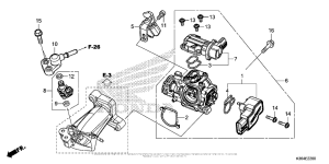 PCX150 Throttle Body + Fuel Injector