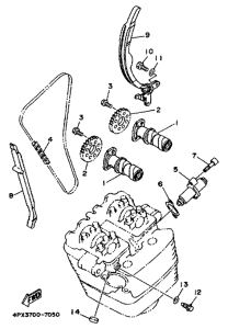TT250R Camshaft. chain