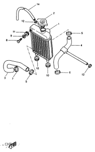 DT50R Radiator. hose