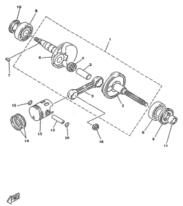 YA50R Ciguenal. pisttn