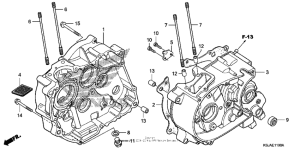 CRF80F Картер двигателя