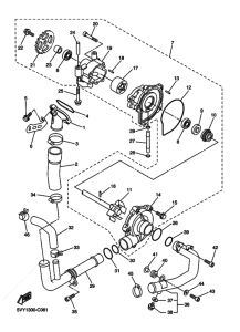 YZF-R1 Водяная помпа