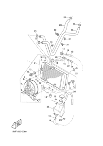 XN125 Radiator. hose