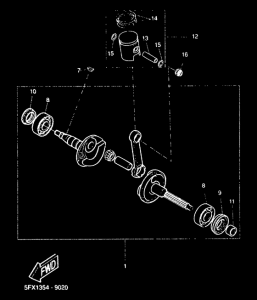 CW50RS Ciguenal piston