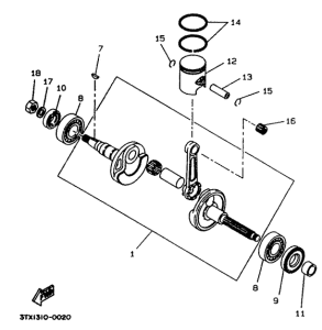 CW50 Коленчатый вал и поршни