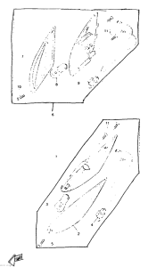 CW50RSP Поворотники