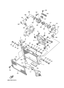 TDM900A Radiator & hose