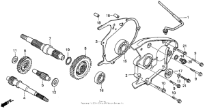 CN250 Трансмиссия