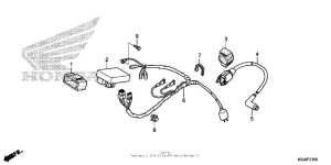 CRF80F Жгут проводов
