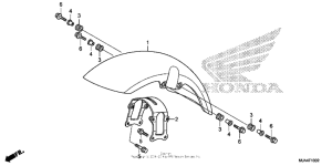 VT750C2B Front fender (3)