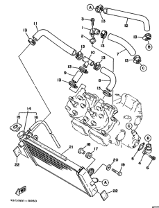 TZ250 Radiator. hose