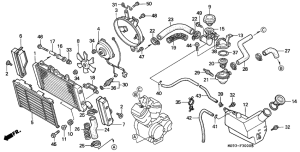 NTV650 Радиатор