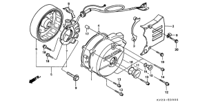 XLX350 Left crankcase cover /  generator