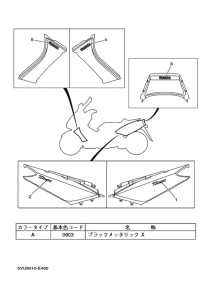 XP500 ｸﾞﾗﾌｲﾂｸ & ｴﾝﾌﾞﾚﾑ