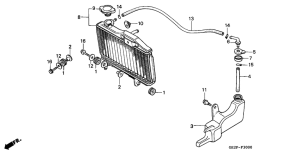 NSR50F Радиатор