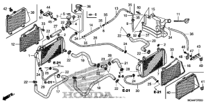 GL1800 (ABS) Радиатор