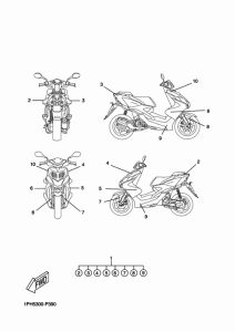 NS50 Graphic & emblem