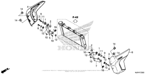 CTX700N Кожух радиатора