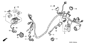 SK50M Wire harness /  ignition coil