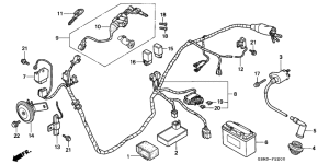 SFX50 Wire harness /  ignition coil / battery