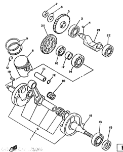 DT125 Ciguenal. pisttn