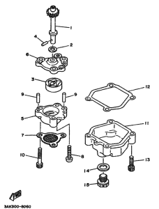 TZ250 Маслонасос