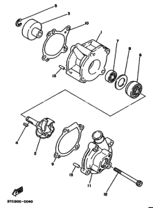TZ250 Водяная помпа